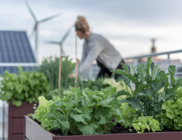 Comment rendre son habitat plus écologique et durable ?