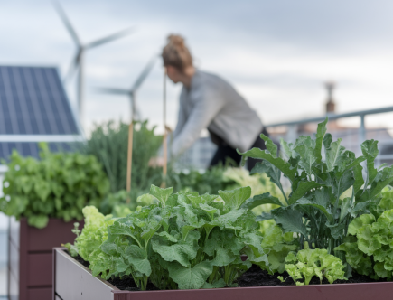 Comment rendre son habitat plus écologique et durable ?