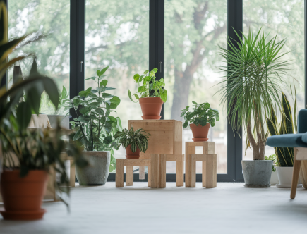 Comment rendre ma maison plus écologique sans dépenser une fortune ?